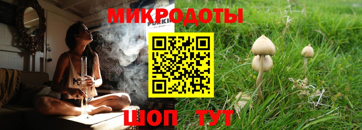 купить наркотики цена  Псилоцибиновые грибы MAGIC MUSHROOMS  Вход с VPN  Арзамас 